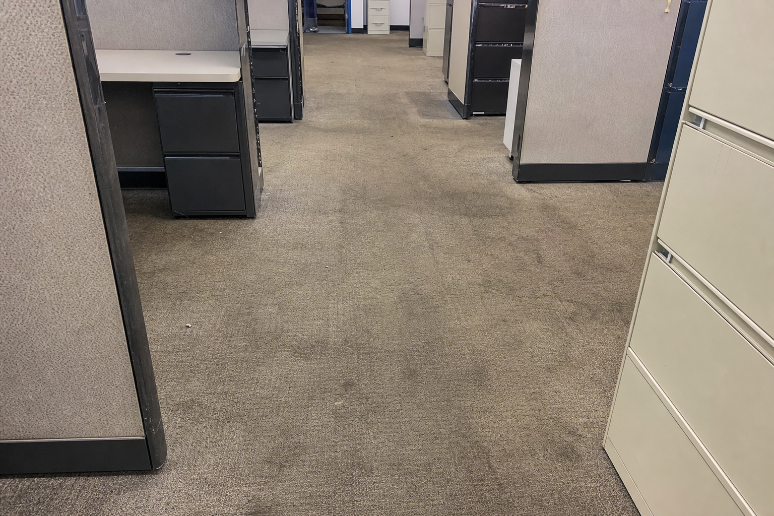 Worn commercial cubicle carpet being cleared during a Chicago office cleanout