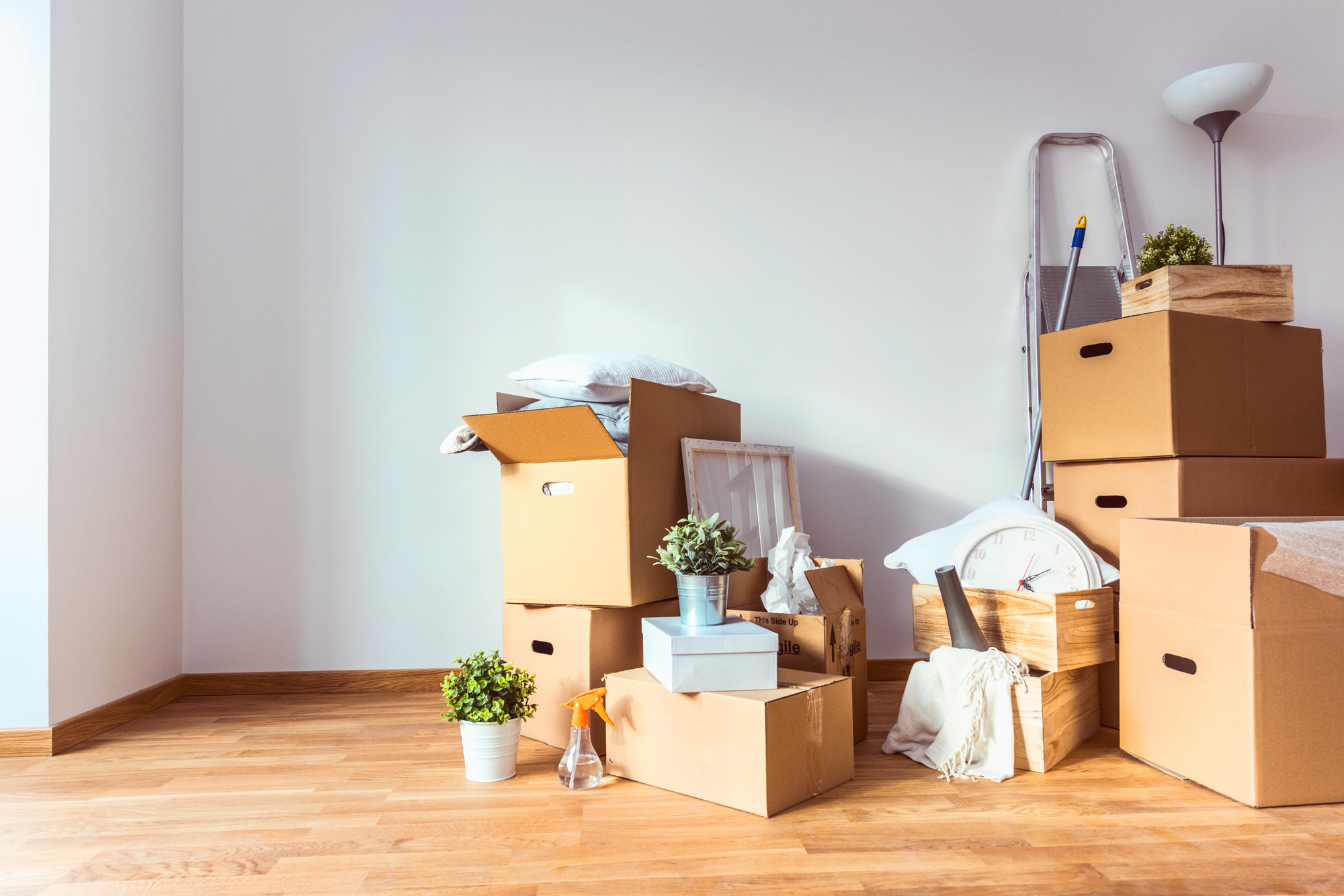 Signs That You Need Junk Removal Services