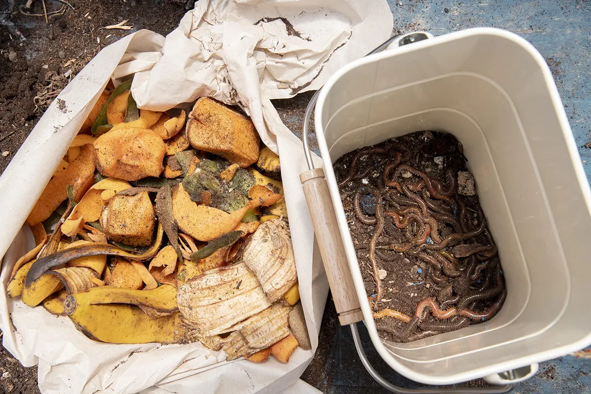 composting to reduce waste in Chicago 